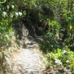 Inca jungle trek2JPG