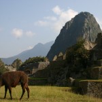 Machupicchu5