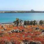 Plazas punta carion Galapagos