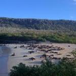 Santa Fe Galapagos