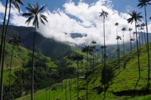 Valle Corora