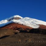 combi trip Ecuador and Galapagos