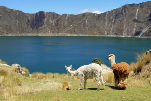 Individual trip Ecuador