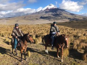 nationaal park Cotopaxi en mooie tour met paard